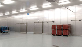 What is the Necessity of the Cold Storage Door for the Cold Storage?